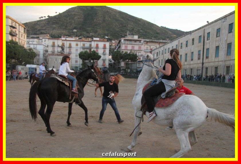 161106 equestre 161_tn.jpg